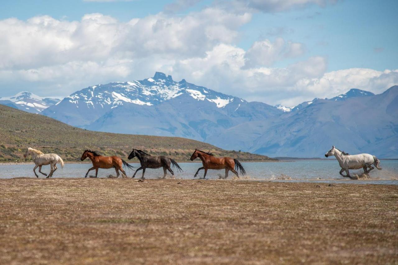 Hostería El Galpón Del Glaciar Colonia Francisco Perito Moreno Exterior foto